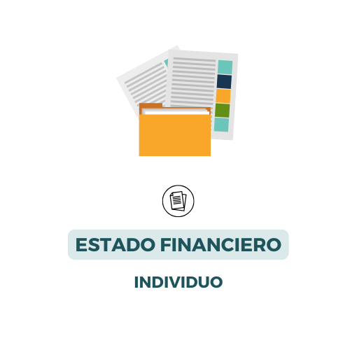 Estados Financieros Individuo